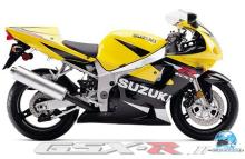 SUZUKI  GSX-R 600 2001-3 yellow